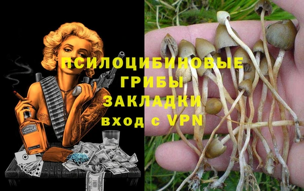 прущая мука Аркадак
