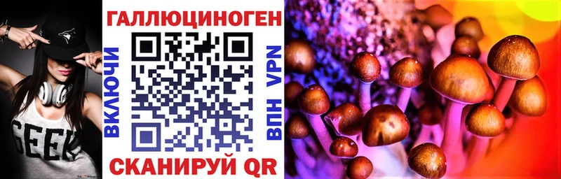 Галлюциногенные грибы Psilocybe  где можно купить   Опочка 