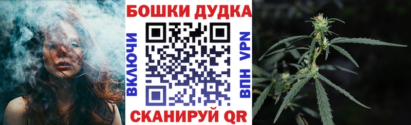 Бошки Шишки план  Опочка 